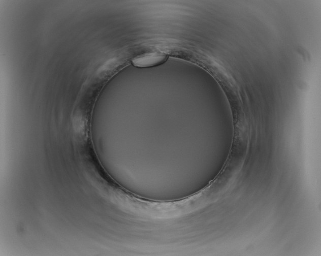 X0000111830031200907231326