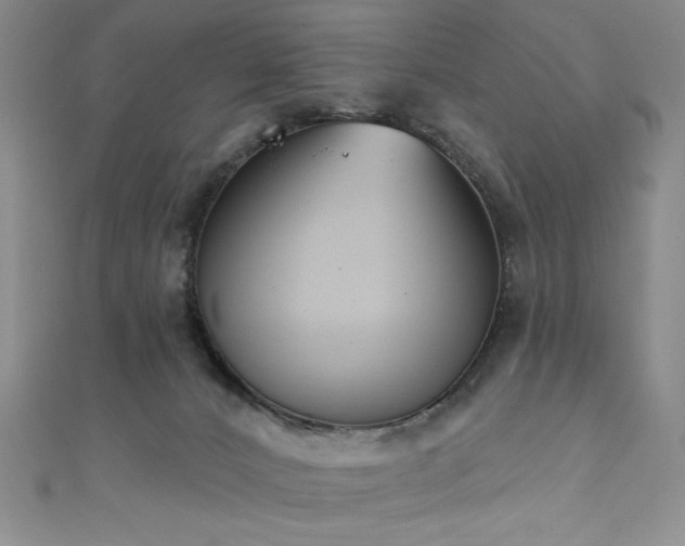 X0000111830032200907231326