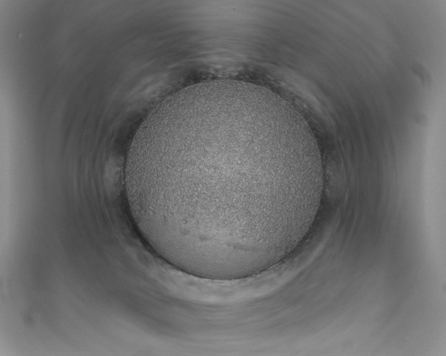 X0000111830034200907231326
