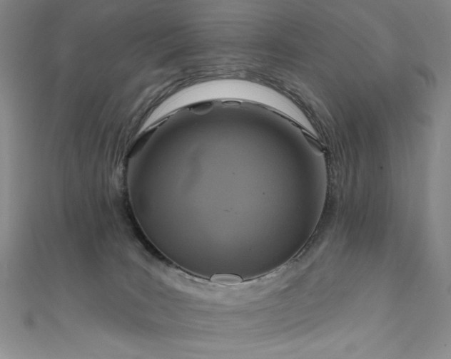 X0000111830035200907231326