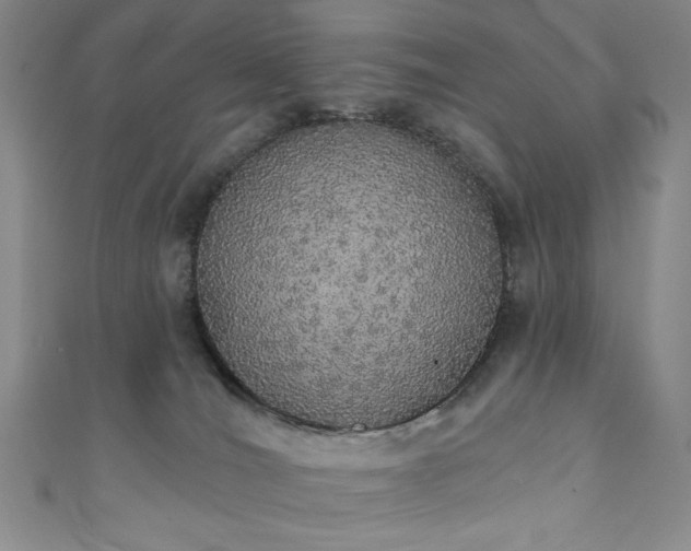 X0000111830036200907231326