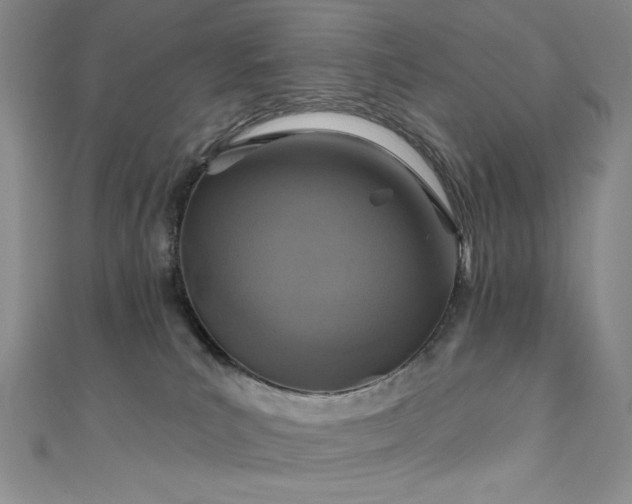X0000111830039200907231326