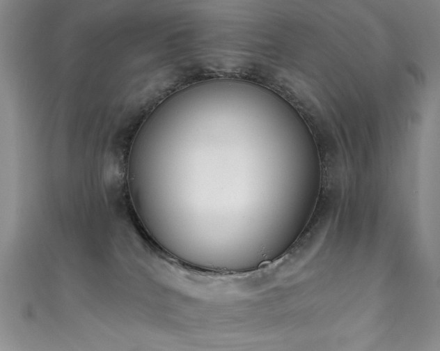 X0000111830040200907231326