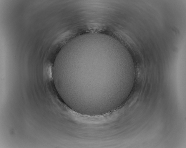 X0000111830042200907231326