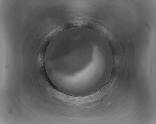 X0000111830043200907231326