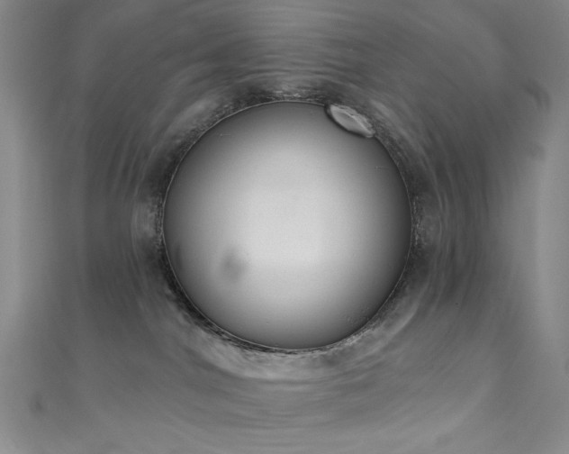 X0000111830044200907231326