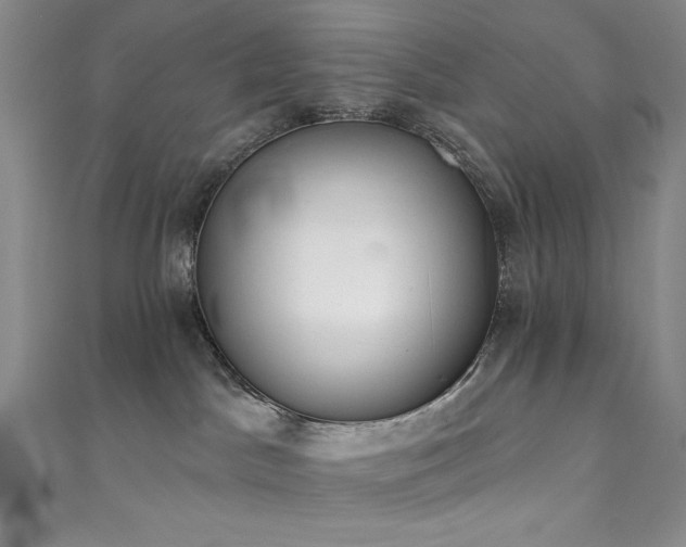 X0000111830045200907231326