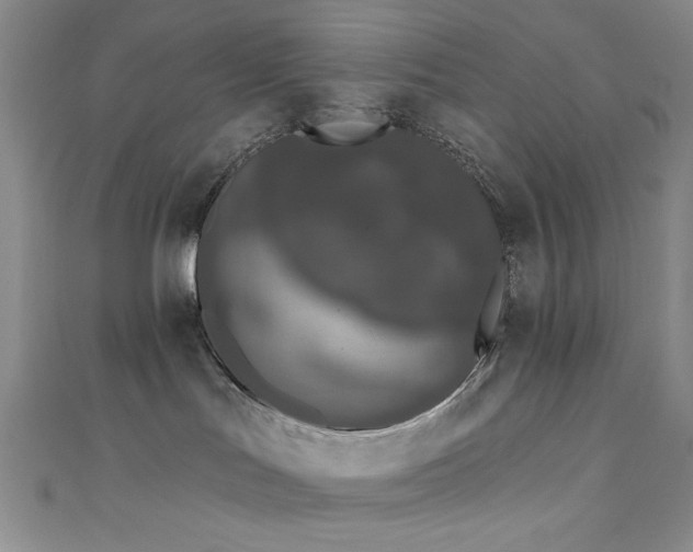 X0000111830047200907231326