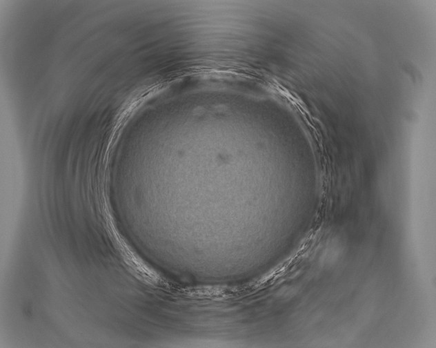 X0000111830049200907231325