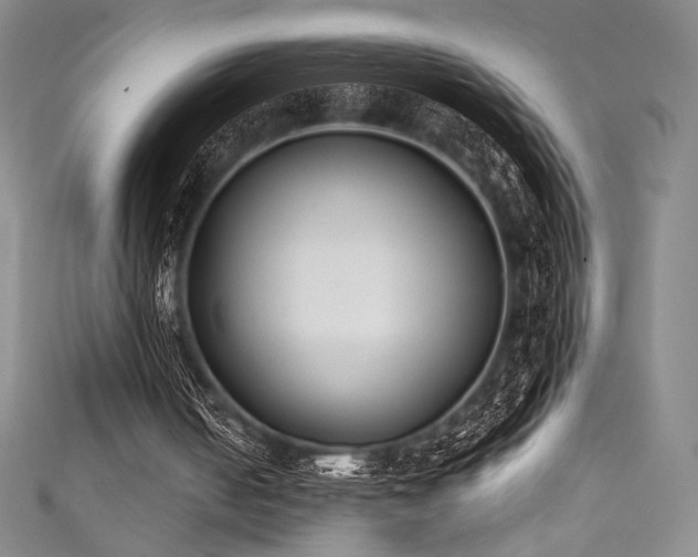 X0000111830050200907231325