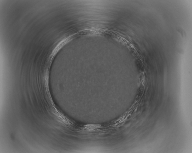 X0000111830051200907231325