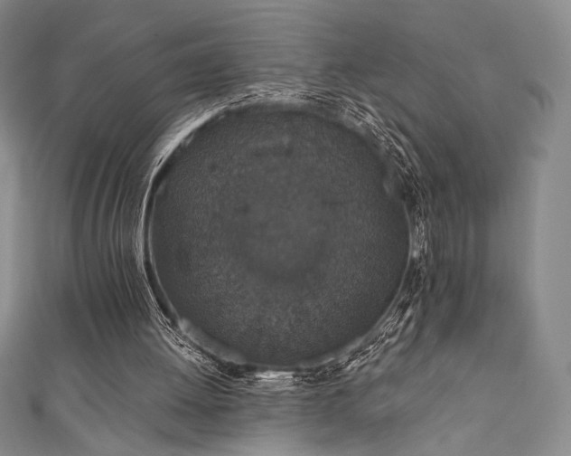 X0000111830052200907231325
