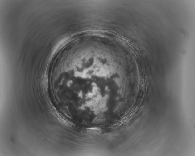X0000111830053200907231325