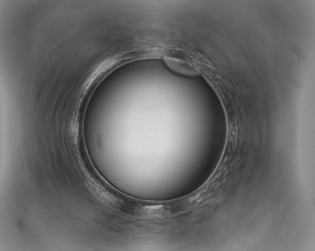 X0000111830054200907231325