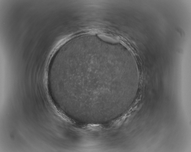 X0000111830055200907231325
