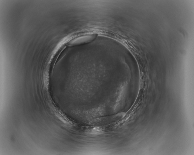 X0000111830056200907231325