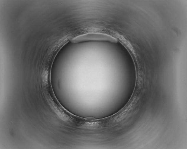X0000111830057200907231325
