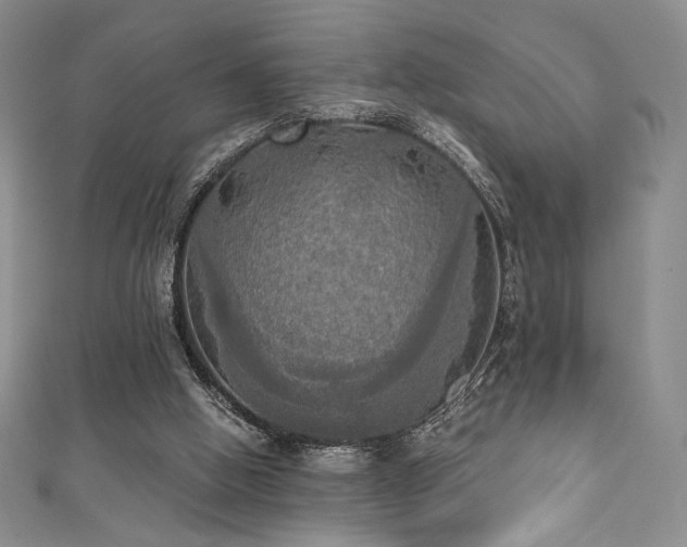 X0000111830058200907231325