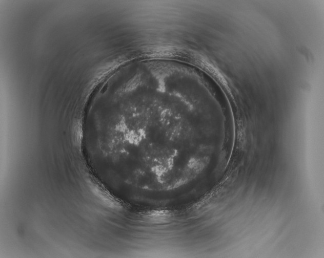 X0000111830059200907231325