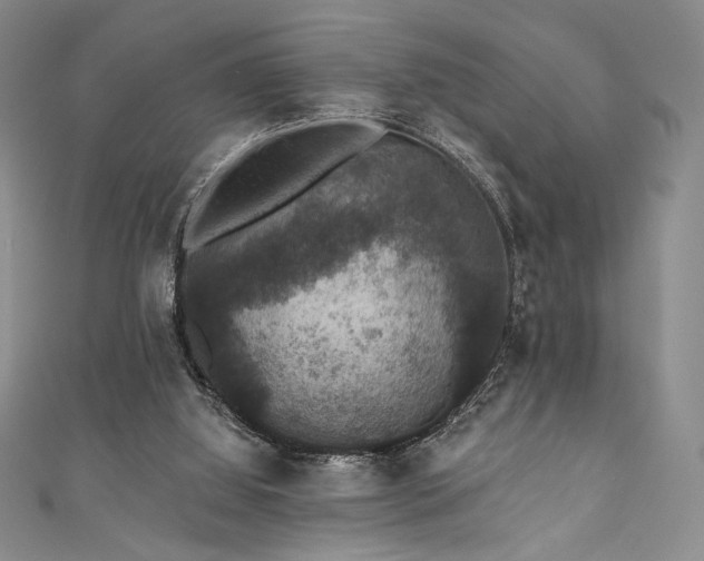 X0000111830060200907231325