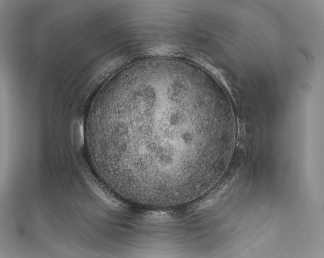 X0000111830061200907231325