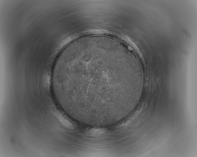 X0000111830063200907231325