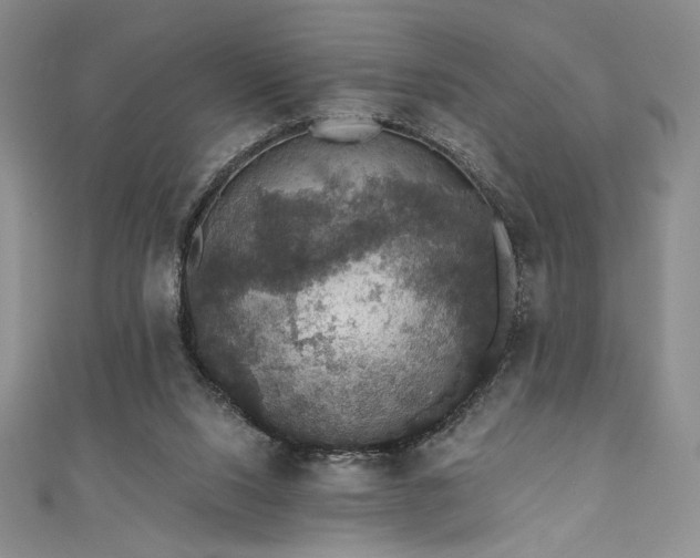 X0000111830064200907231325
