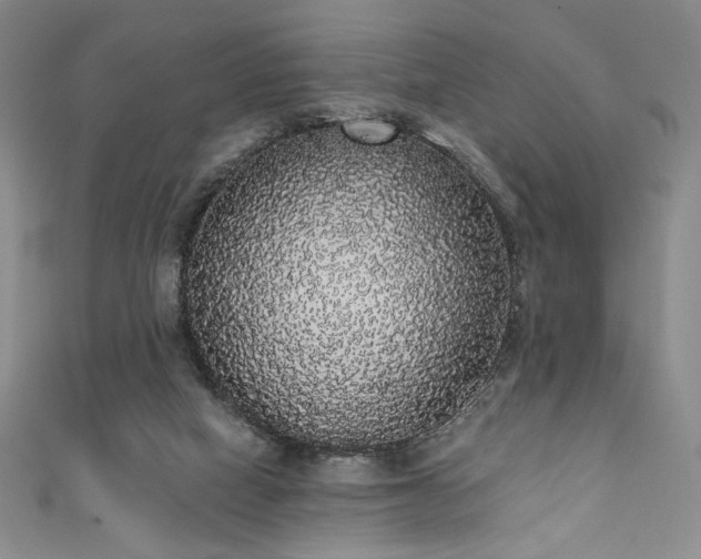 X0000111830066200907231325