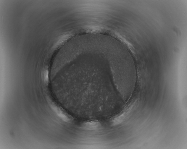 X0000111830067200907231325