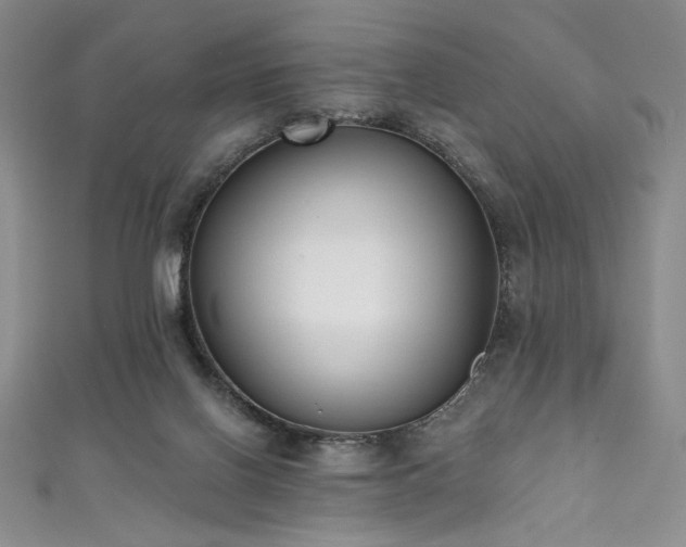 X0000111830070200907231325