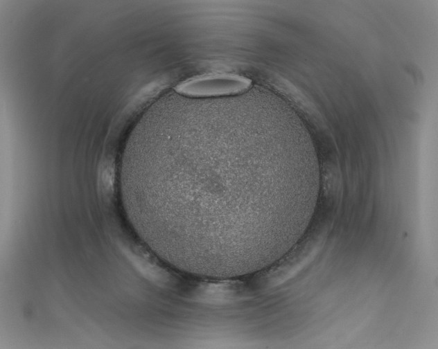 X0000111830072200907231325