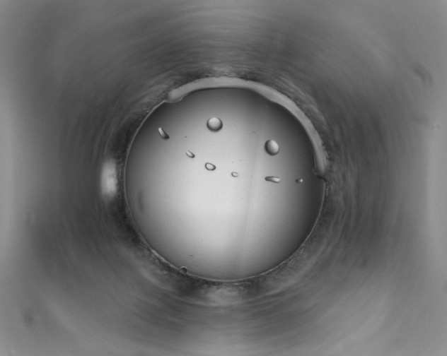 X0000111830075200907231325