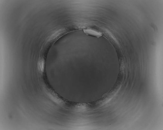 X0000111830076200907231325
