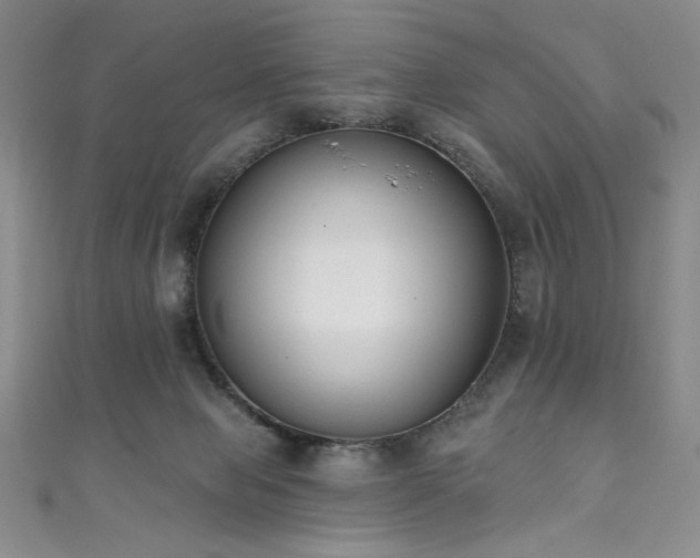 X0000111830077200907231325