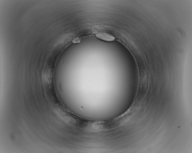 X0000111830078200907231325