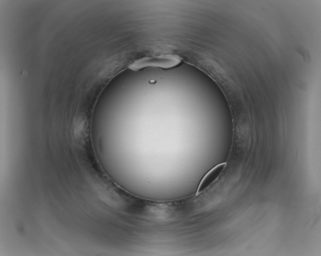 X0000111830079200907231325