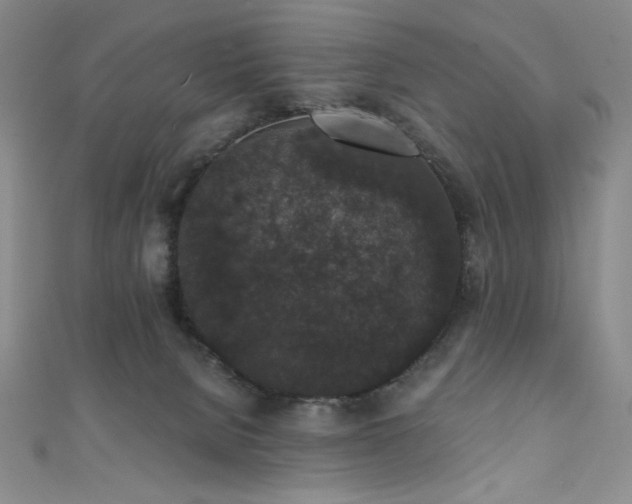 X0000111830080200907231325