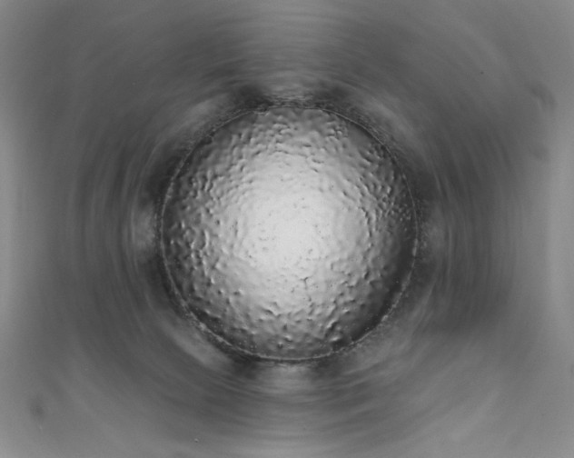X0000111830081200907231325