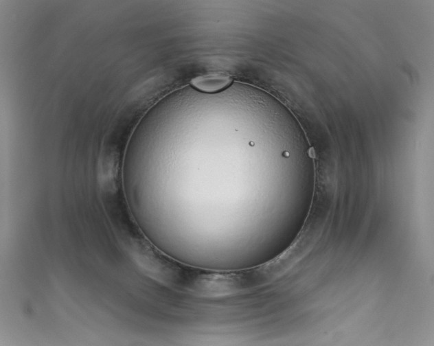 X0000111830082200907231325
