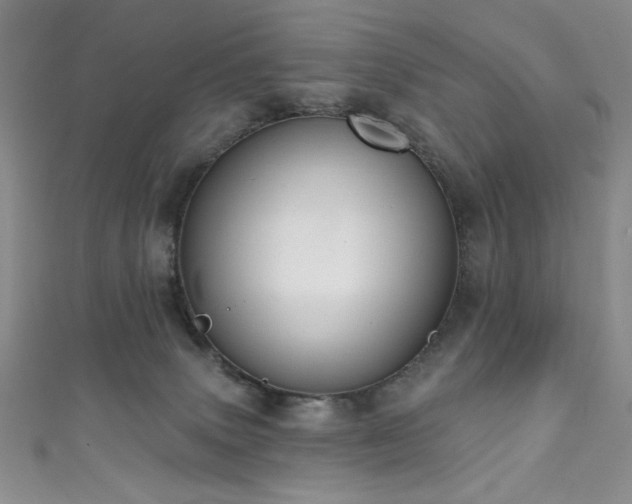 X0000111830083200907231325