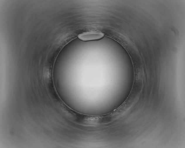 X0000111830084200907231325