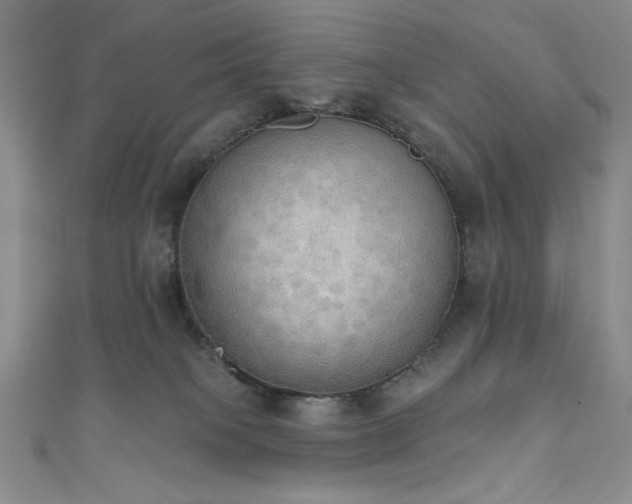 X0000111830085200907231325