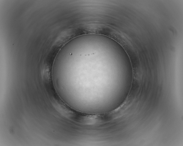 X0000111830086200907231326