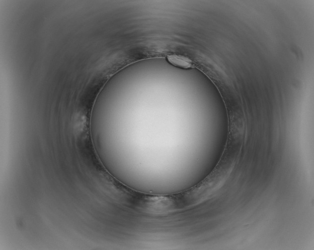 X0000111830087200907231326