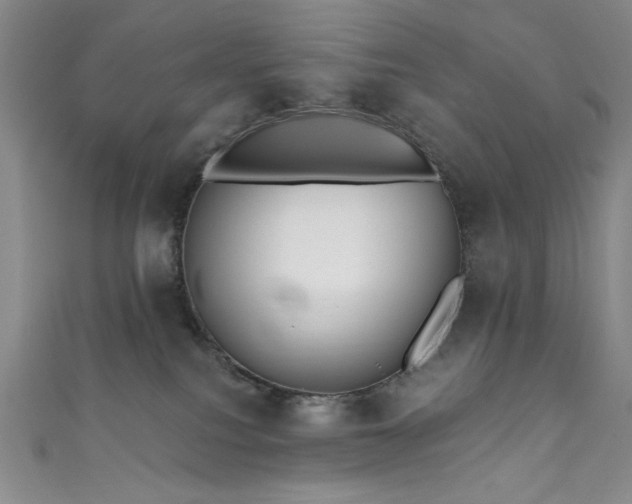 X0000111830088200907231326