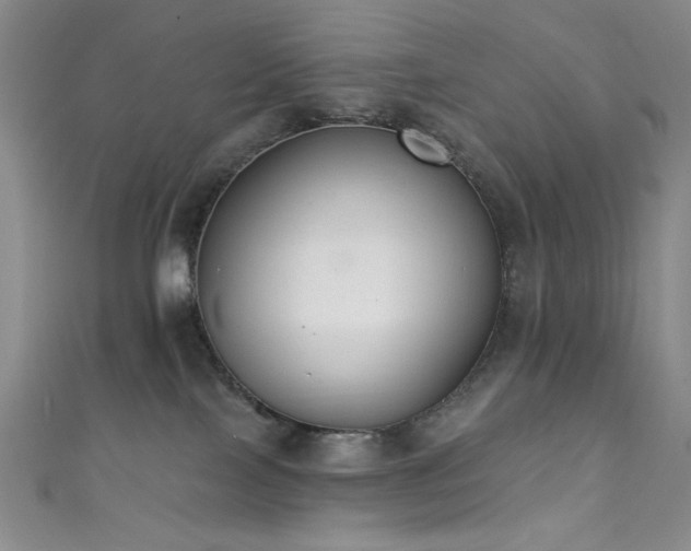 X0000111830089200907231326