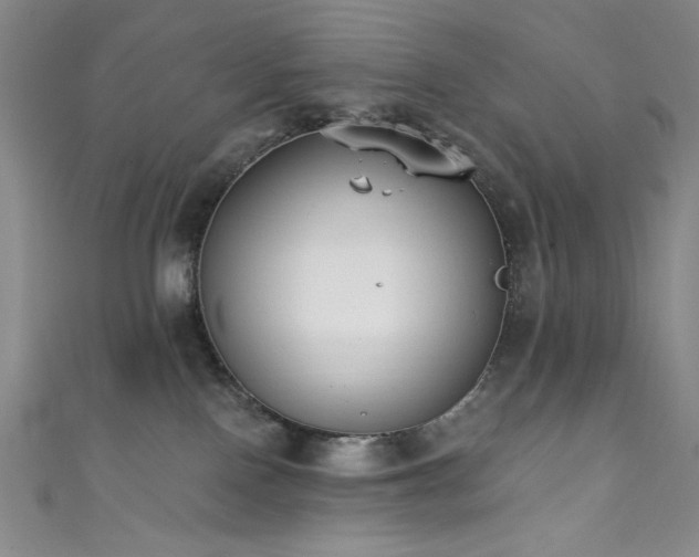 X0000111830090200907231326
