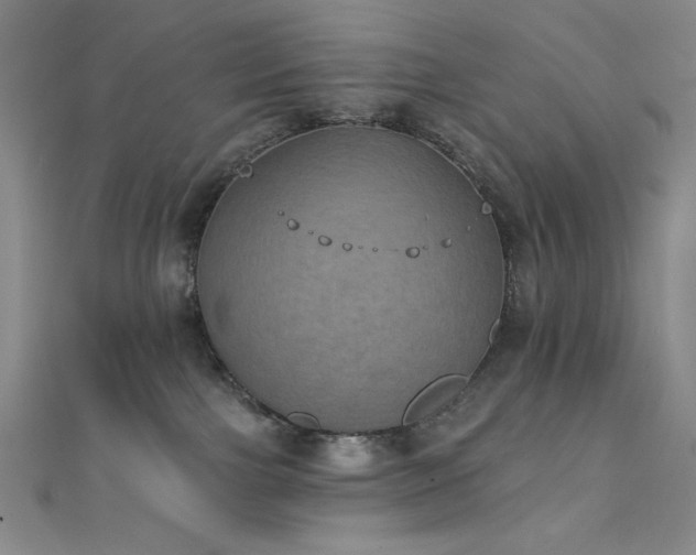 X0000111830091200907231326