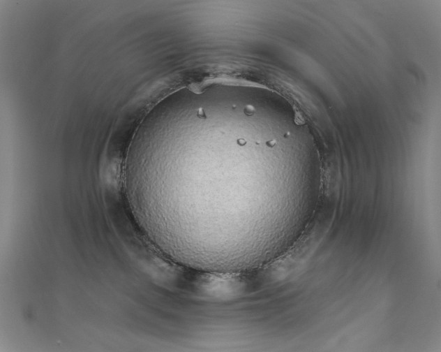 X0000111830093200907231326