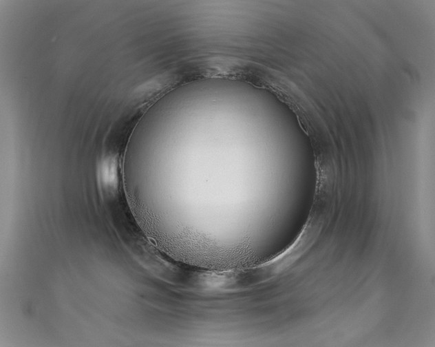 X0000111830094200907231326